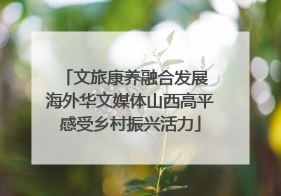 文旅康养融合发展 海外华文媒体山西高平感受乡村振兴活力