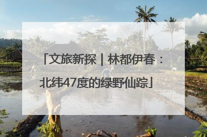 文旅新探｜林都伊春：北纬47度的绿野仙踪