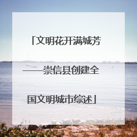 文明花开满城芳——崇信县创建全国文明城市综述