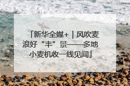 新华全媒+｜风吹麦浪好“丰”景——多地小麦机收一线见闻