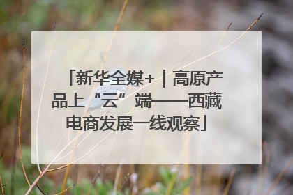 新华全媒+｜高原产品上“云”端——西藏电商发展一线观察
