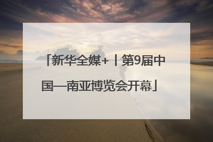 新华全媒+丨第9届中国—南亚博览会开幕