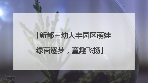 新都三幼大丰园区萌娃绿茵逐梦，童趣飞扬
