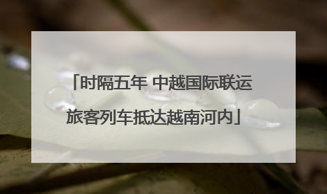 时隔五年 中越国际联运旅客列车抵达越南河内