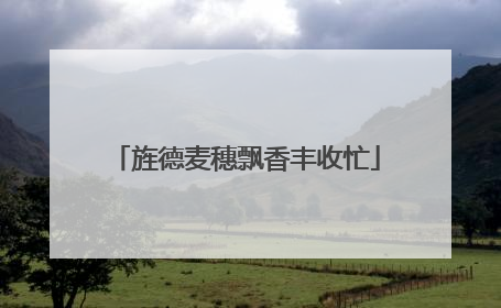 旌德麦穗飘香丰收忙