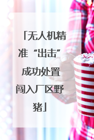 无人机精准“出击” 成功处置闯入厂区野猪