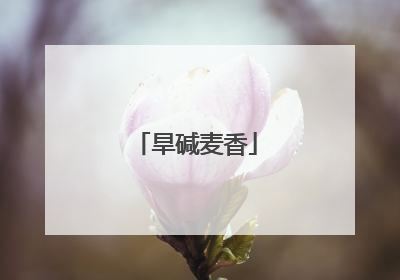 旱碱麦香