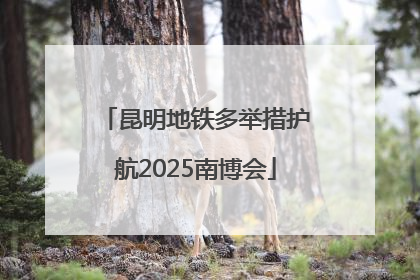 昆明地铁多举措护航2025南博会