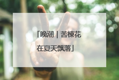 晚潮｜苦楝花在夏天飘落
