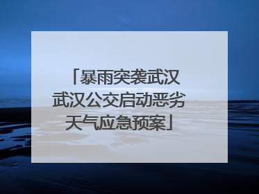 暴雨突袭武汉 武汉公交启动恶劣天气应急预案