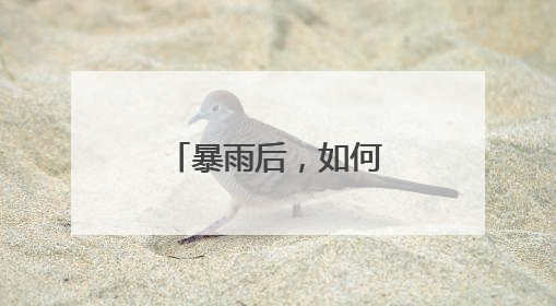 暴雨后，如何管理农作物？