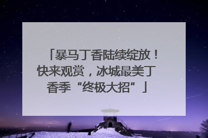 暴马丁香陆续绽放！快来观赏，冰城最美丁香季“终极大招”