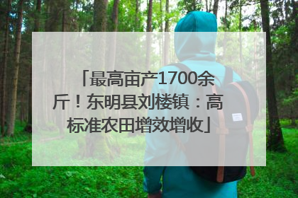 最高亩产1700余斤！东明县刘楼镇：高标准农田增效增收