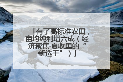 有了高标准农田，亩均纯利增六成（经济聚焦·夏收里的“新选手”）