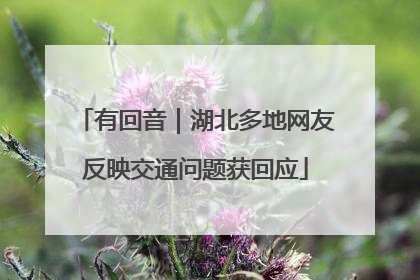 有回音｜湖北多地网友反映交通问题获回应