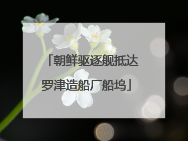 朝鲜驱逐舰抵达罗津造船厂船坞