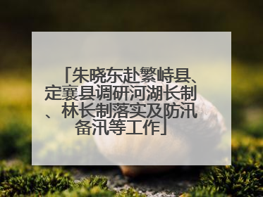 朱晓东赴繁峙县、定襄县调研河湖长制、林长制落实及防汛备汛等工作