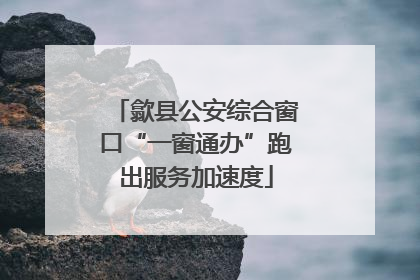 歙县公安综合窗口“一窗通办”跑出服务加速度