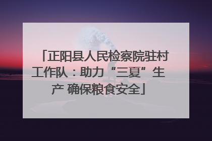 正阳县人民检察院驻村工作队：助力“三夏”生产 确保粮食安全