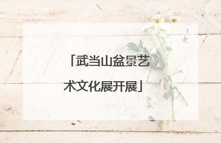 武当山盆景艺术文化展开展