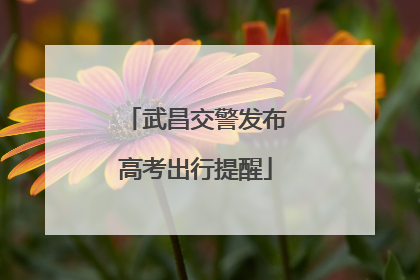 武昌交警发布高考出行提醒