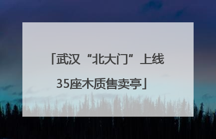 武汉“北大门”上线35座木质售卖亭