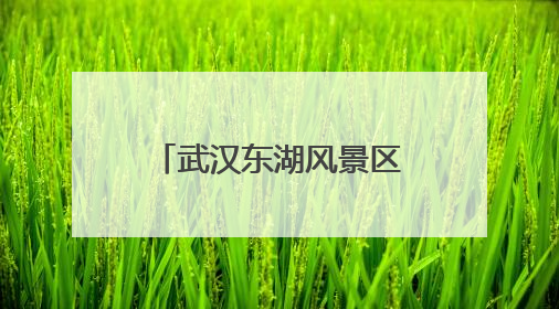 武汉东湖风景区发布四季游线路