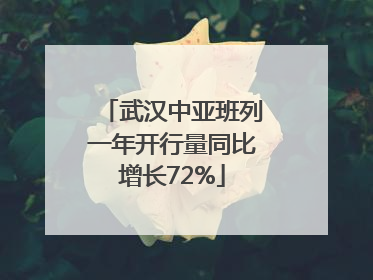 武汉中亚班列一年开行量同比增长72%