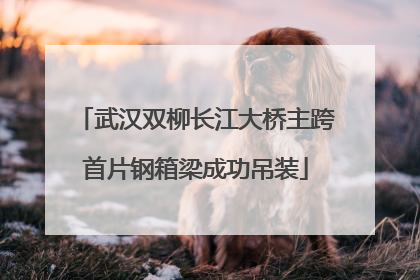 武汉双柳长江大桥主跨首片钢箱梁成功吊装