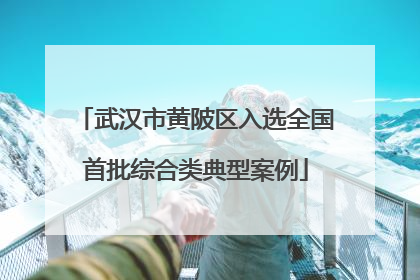 武汉市黄陂区入选全国首批综合类典型案例