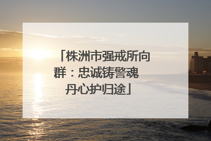 株洲市强戒所向群：忠诚铸警魂 丹心护归途