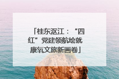 桂东沤江：“四红”党建领航绘就康氧文旅新画卷