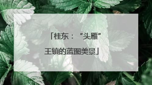 桂东：“头雁”王镇的蓝图美景