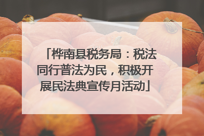 桦南县税务局：税法同行普法为民，积极开展民法典宣传月活动