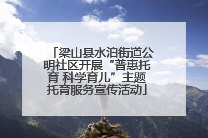 梁山县水泊街道公明社区开展“普惠托育 科学育儿”主题托育服务宣传活动