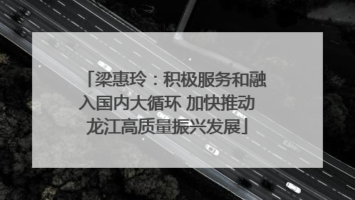 梁惠玲：积极服务和融入国内大循环 加快推动龙江高质量振兴发展