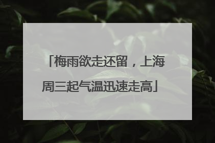 梅雨欲走还留，上海周三起气温迅速走高