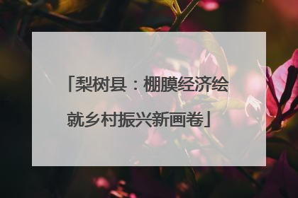 梨树县：棚膜经济绘就乡村振兴新画卷