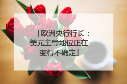 欧洲央行行长：美元主导地位正在变得不确定