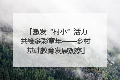 激发“村小”活力 共绘多彩童年——乡村基础教育发展观察