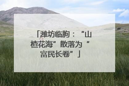 潍坊临朐：“山楂花海”散落为“富民长卷”