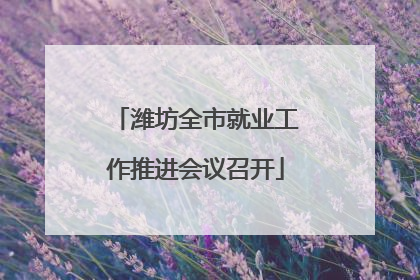 潍坊全市就业工作推进会议召开