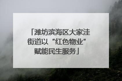 潍坊滨海区大家洼街道以“红色物业”赋能民生服务