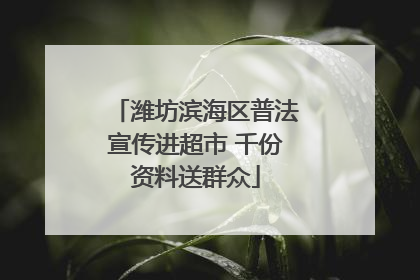 潍坊滨海区普法宣传进超市 千份资料送群众