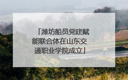 潍坊船员党建赋能联合体在山东交通职业学院成立