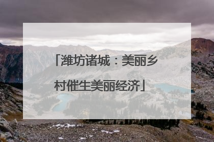 潍坊诸城：美丽乡村催生美丽经济