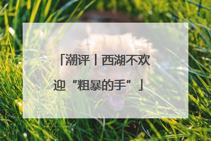 潮评丨西湖不欢迎“粗暴的手”