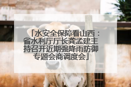 水安全保障看山西：省水利厅厅长龚孟建主持召开近期强降雨防御专题会商调度会
