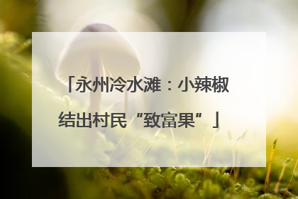 永州冷水滩：小辣椒结出村民“致富果”