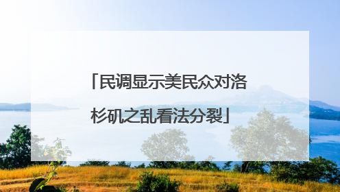 民调显示美民众对洛杉矶之乱看法分裂